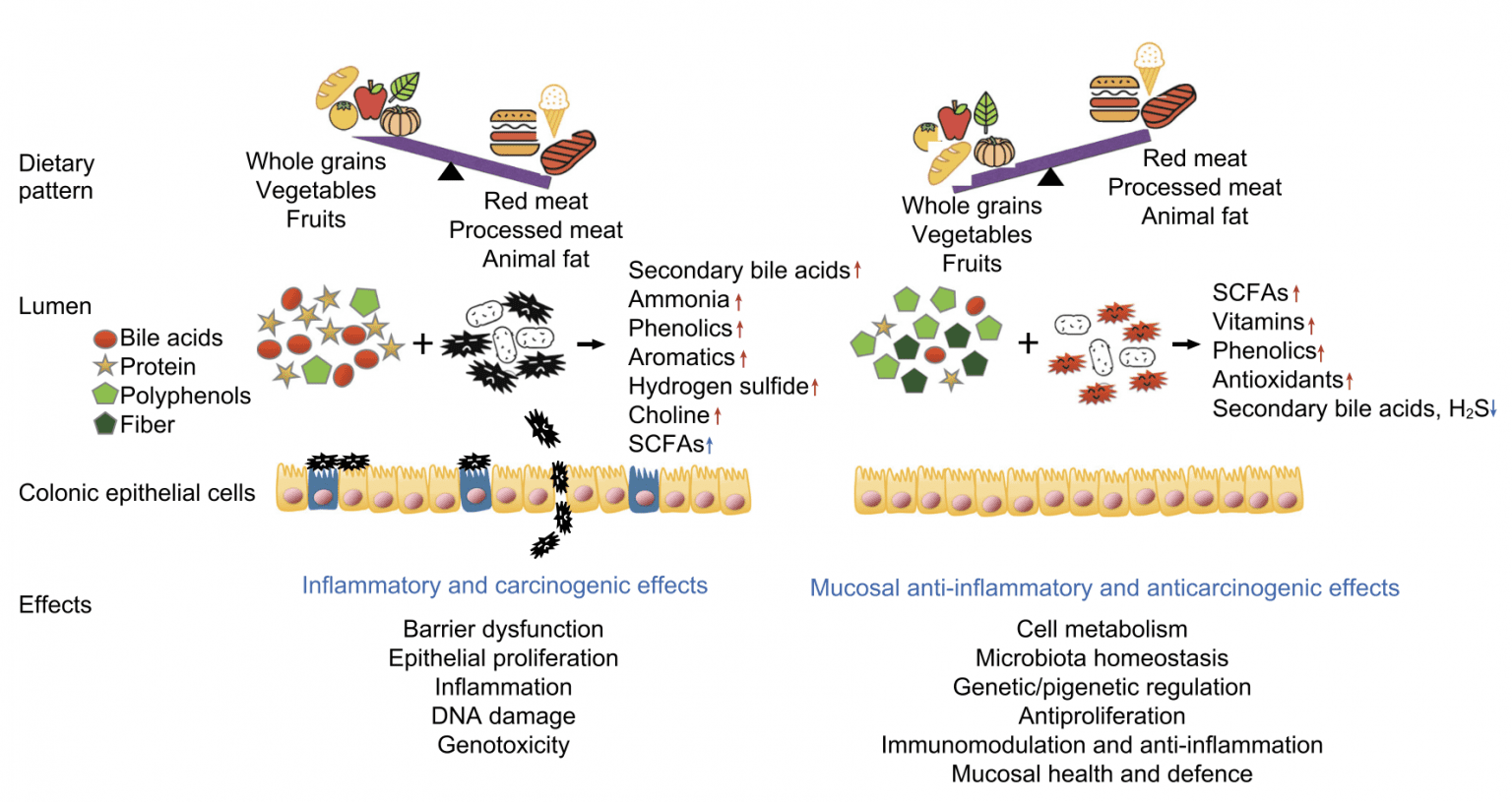 Whole food plantbased (WFPB) eating and colorectal cancer